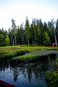 a pond in a field with a red barn and trees at Atpūtas centrs Paideri in Alūksne