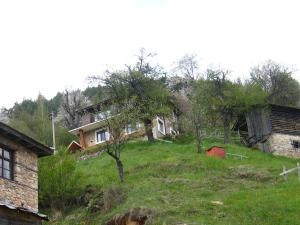 a house sitting on top of a green hill at Zinca's Cottage in Ogled