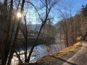 una strada accanto a un fiume con il sole splendente di Schwarzwaldzimmer & Schwarzwald Design Apartment a Rottweil