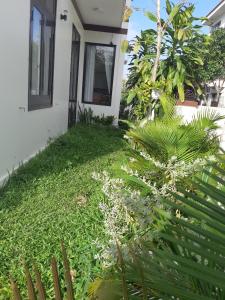 Garður fyrir utan Sum villa Hoi An