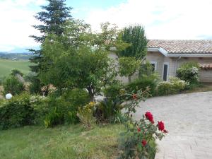 Gallery image of Cottage with pool,views in Citta' Sant'Angelo