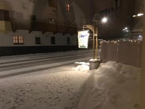 Hotel Alpin v zimě