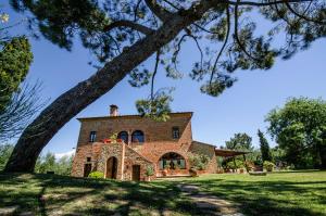 een oud stenen huis op een heuvel met een boom bij Villa Scianellone in Torrita di Siena