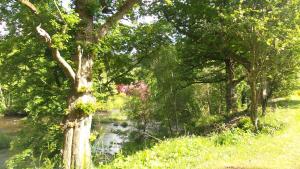 Φωτογραφία από το άλμπουμ του 28 Riverside, Caer Beris Holiday Park σε Builth Wells