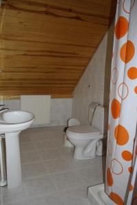 een badkamer met een toilet en een wastafel bij Zīriņi in Kolka
