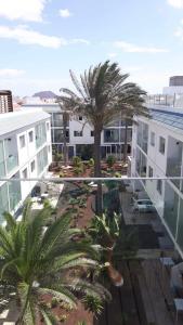 widok na ośrodek z palmami i basenem w obiekcie Exclusive Vista Bristol w Corralejo