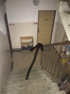 Fotografia z galérie ubytovania Apartmán Na Horách v destinácii Zlatá Olešnice