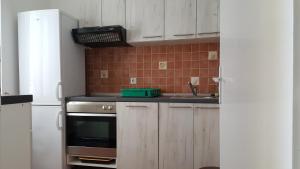 Kuchyň nebo kuchyňský kout v ubytování Apartment Viktor
