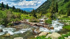 un río en un valle con rocas y árboles en Guest House on Derbisheva en Karakol