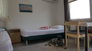 Postel nebo postele na pokoji v ubytování Apartment Viktor
