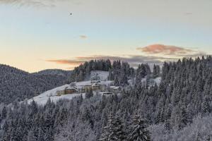 Fotografia z galérie ubytovania CASA MIFEL -- APP. GERANIO v destinácii Folgaria