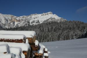Fotografia z galérie ubytovania CASA MIFEL -- APP. GERANIO v destinácii Folgaria