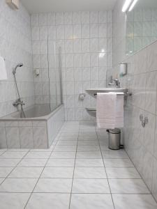 ates Hotel Lampertheim tesisinde bir banyo