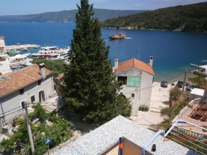 a large tree in front of a body of water at Apartments and rooms Roberto B. in Valun