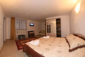 a bedroom with a large bed and a television at Pensiunea Ciobanelu in Malaia