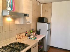 a small kitchen with a stove and a refrigerator at Appartamento Casa della Nonna in Noventa di Piave