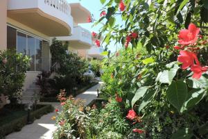 Zahrada ubytování Golden Rose Suites