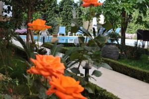 Zahrada ubytování Golden Rose Suites