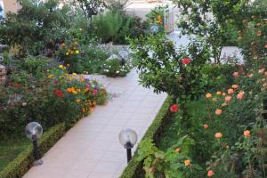 Zahrada ubytování Golden Rose Suites