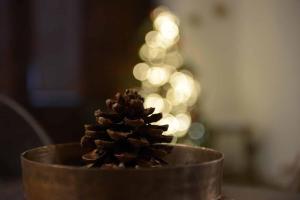 Foto Alberobellos asuva majutusasutuse Civico 5 galeriist