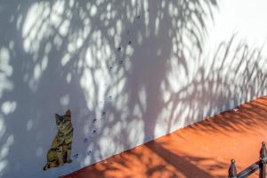 Fotografie z fotogalerie ubytování Richard's Pet Friendly Motel v destinaci Hollywood