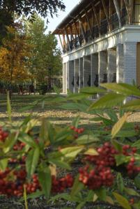 a building with a bunch of berries in front of it at Atrium Agárd Panzió in Gárdony