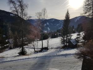 a snow covered slope with trees and mountains in the background at Der Kristall by Globalimmoservice in Bad Kleinkirchheim