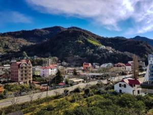 Γενική θέα στο βουνό ή θέα στο βουνό από  αυτό το διαμέρισμα