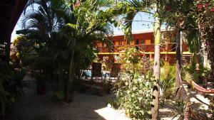 Zahrada ubytování Samara Palm Lodge
