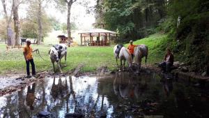 three people on horses standing next to a pond at Ranch Terra in Irinovac