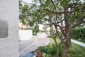 Taman di luar Habitación doble en villa