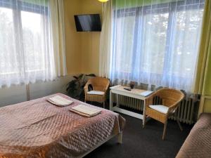 Gallery image of Hotel Alfa in Trutnov
