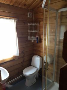 a bathroom with a toilet and a shower and a sink at Skysstasjonen Cottages in Røldal