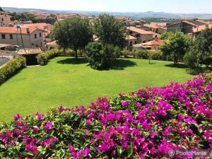 um jardim com flores cor-de-rosa num parque verde em Borgo Antico XIX sec. em Gesturi