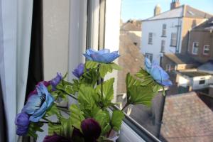 um vaso com flores azuis sentado no peitoril da janela em John St Town House - Self Catering - Guesthouse Style - Great Value Family and Double Rooms em Workington