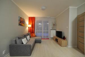 a living room with a couch and a tv at Dream Apartment in Suwałki