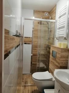 Un baño con ducha, inodoro y lavabo. en DOMEK Zielona Oaza, en Polanica-Zdrój