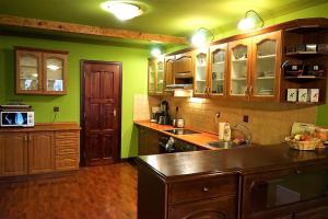 a kitchen with green walls and wooden cabinets at Huge Loft in CENTER of Košice in Košice