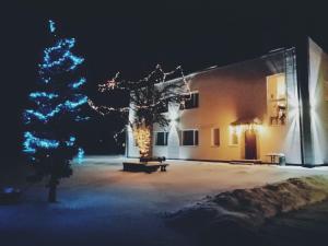 een gebouw met een kerstboom voor het bij Lauvas Līcis in Rūjiena