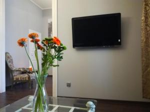 Televízia a/alebo spoločenská miestnosť v ubytovaní Stylowa Kamienica w Centrum