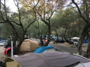 een groep tenten op een parkeerplaats met bomen bij Camping Paleokastritsa in Paleokastritsa