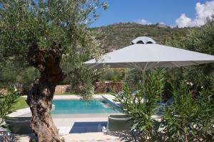 Bazén v ubytování Mythies - Holiday Houses in Mani nebo v jeho okolí
