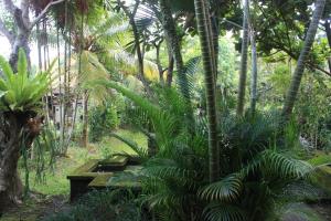 a bench in the middle of a forest with palm trees at Villa Bhuana Alit in Ubud