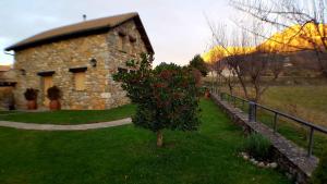 A garden outside Casas Cleto - Laspuña