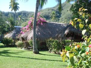 a house with a thatched roof and a palm tree at Hotel Hibiscus in Papetoai