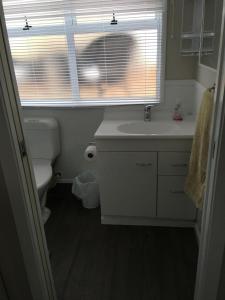 a bathroom with a toilet and a sink and a window at Mill Corner Studios in Matamata