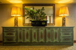 a dresser with a mirror and a potted plant on it at Olyver Hotel in Los Angeles