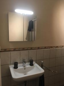 a bathroom with a white sink and a mirror at Landgasthaus Queen Victoria in Stadtilm