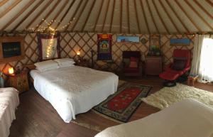 Voodi või voodid majutusasutuse Ngahere Hou Glamping toas