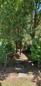 ścieżka w parku z drzewami i budynek w obiekcie Olive's Cottage w mieście Mount Gambier